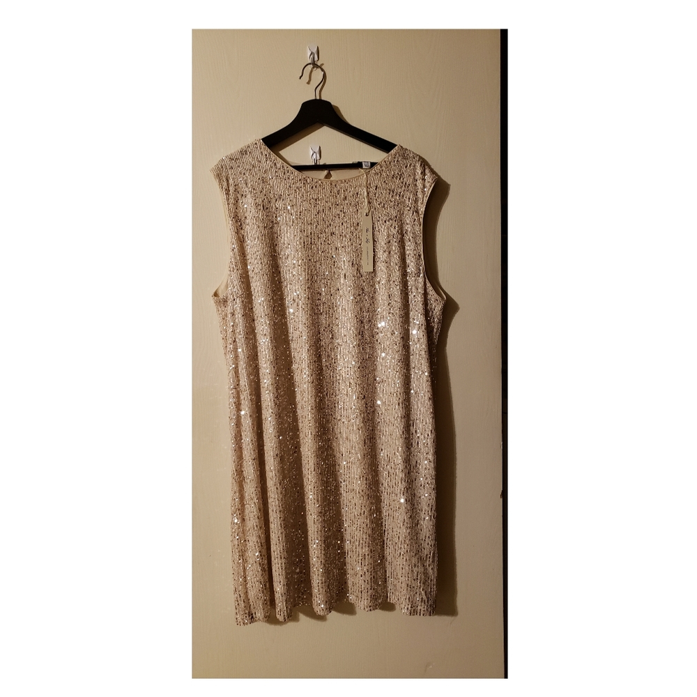 Champagne She and Sky Sequin Dress